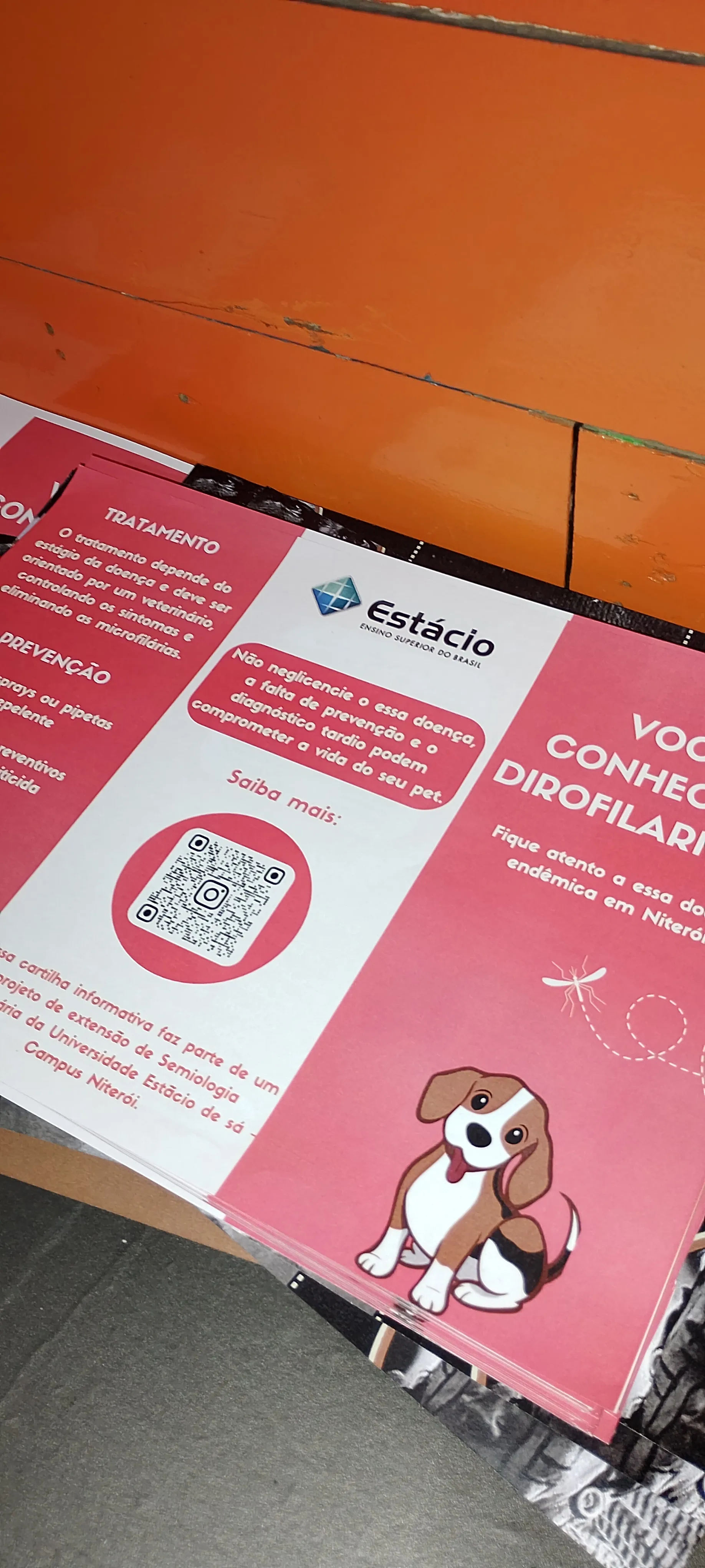 Portfólio Oficial - Gráfica Live Printer Niterói